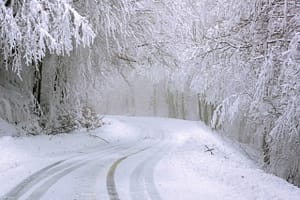 road, trees, snow-4730553.jpg